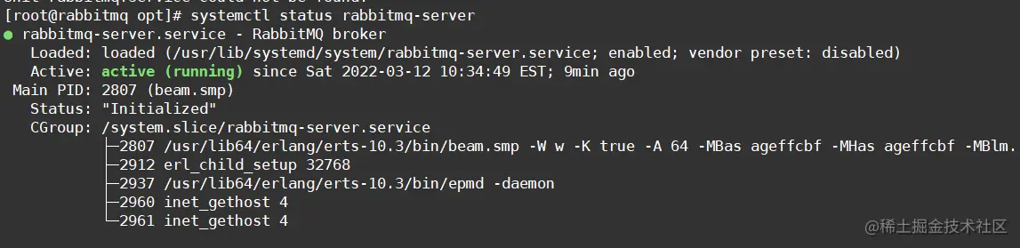 image-20220312154552304