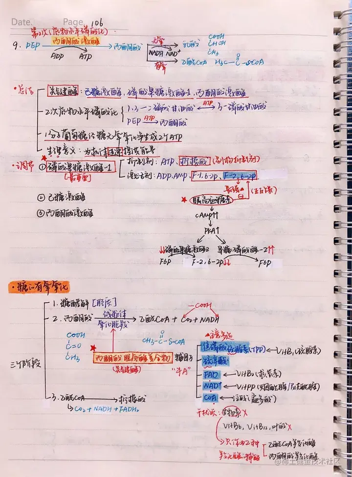 生化手写笔记.pdf