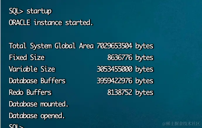 image-20231031155826423