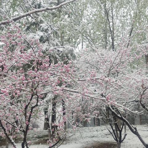 wumian233333于2023-03-28 11:07发布的图片