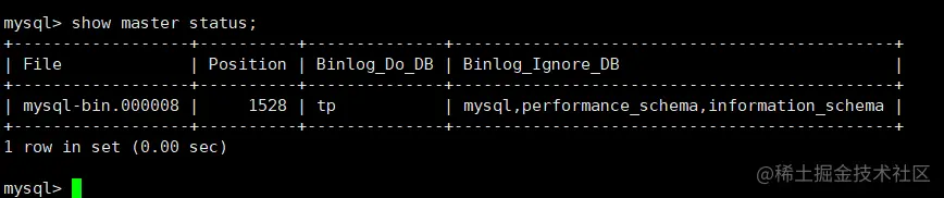 查看主服务状态