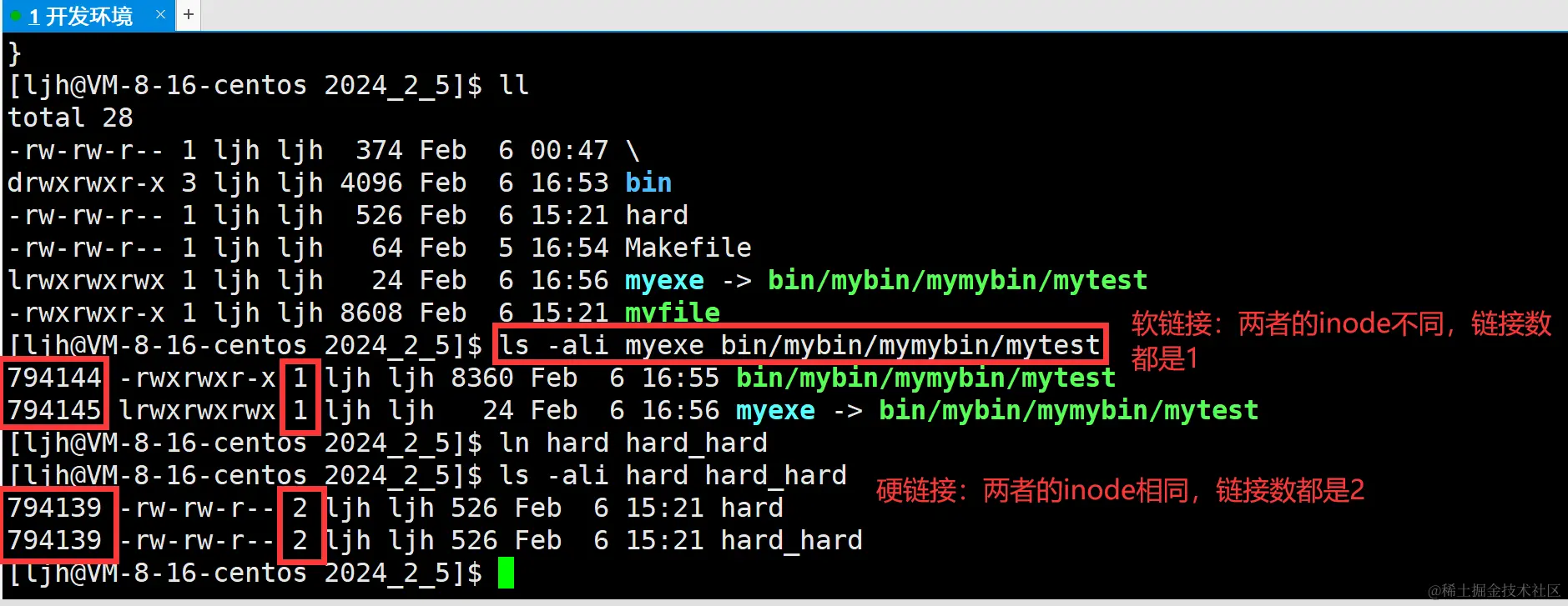 image-20240206171909846