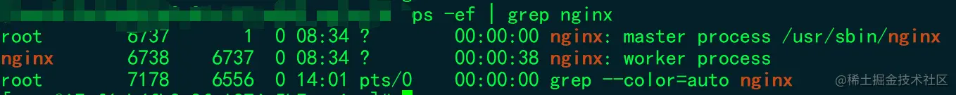 ps -ef | grep nginx