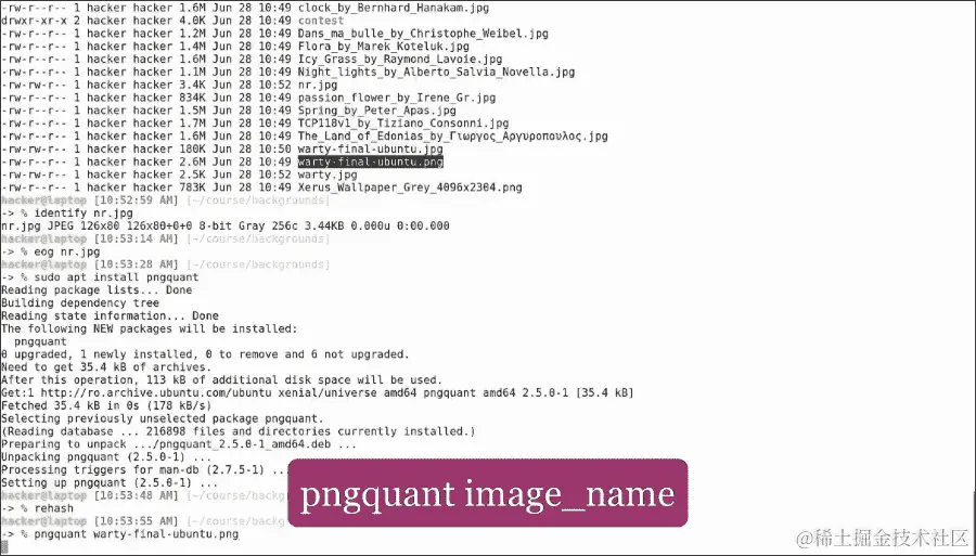 缩小咒语和其他 ImageMagick