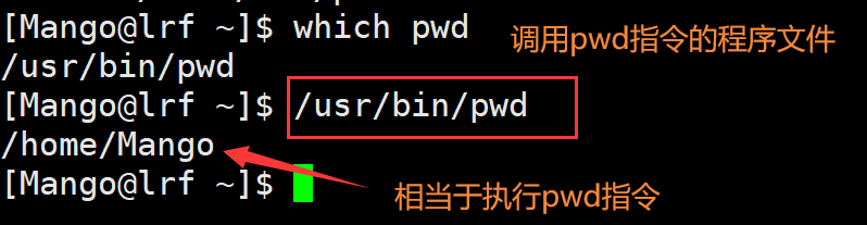 image-20220301193107511