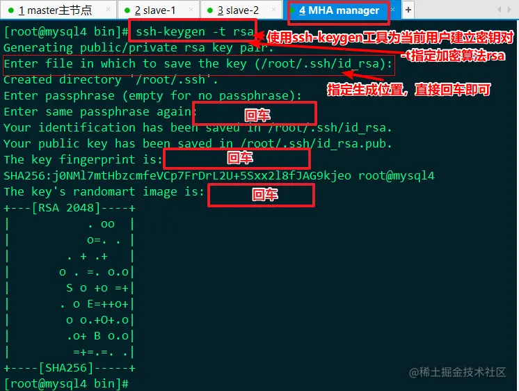 image-20220604202335505