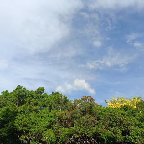 依家恰晚饭于2023-06-26 07:41发布的图片