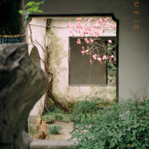 元是在梦中于2022-04-09 06:35发布的图片