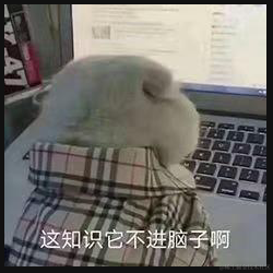 爱生活的钢笔于2022-02-16 13:41发布的图片