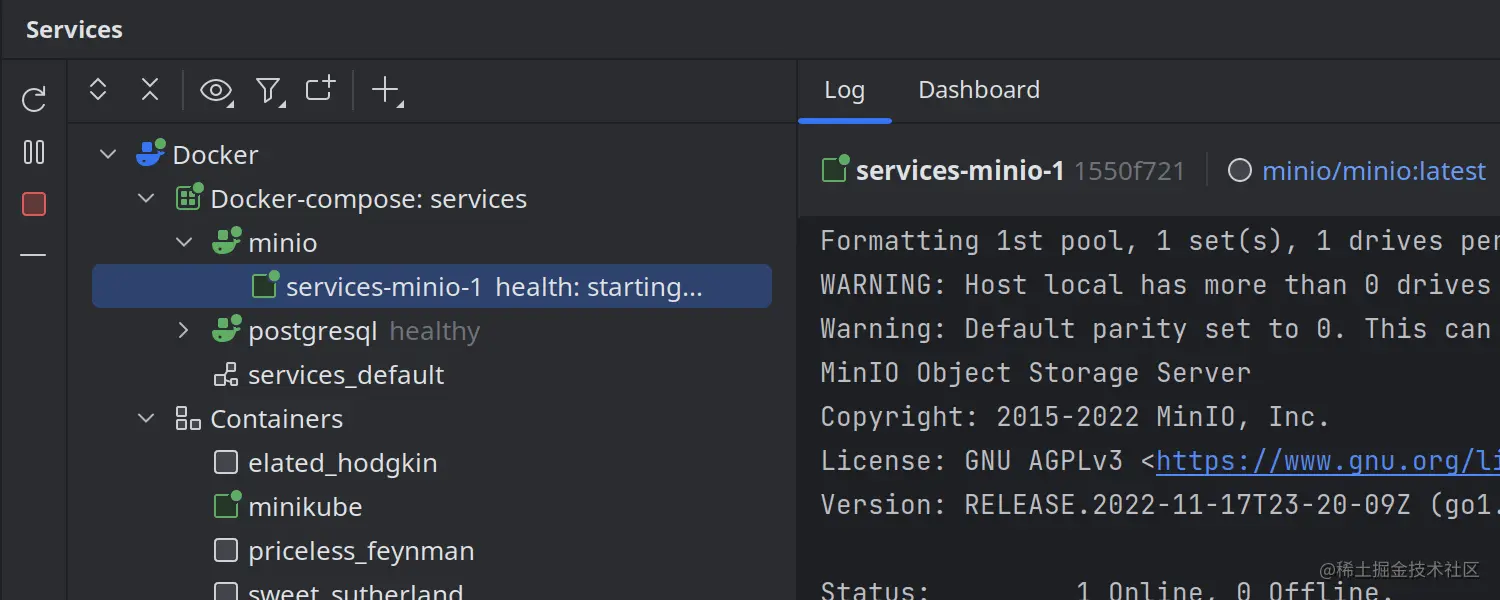 Services（服务）工具窗口中的 Docker 容器健康状态