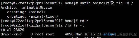 image-20220312163409566