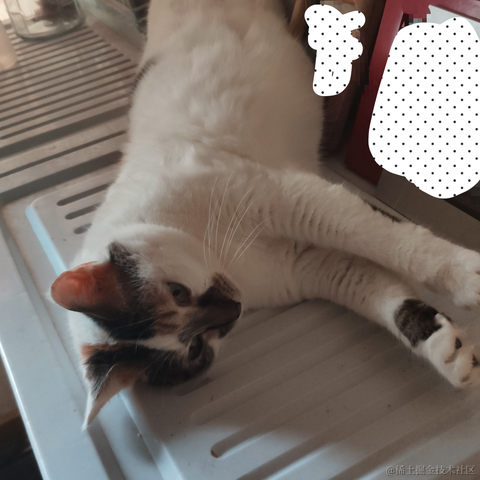 KuuBee于2020-08-11 13:40发布的图片