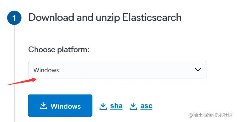 image-20230828211225479