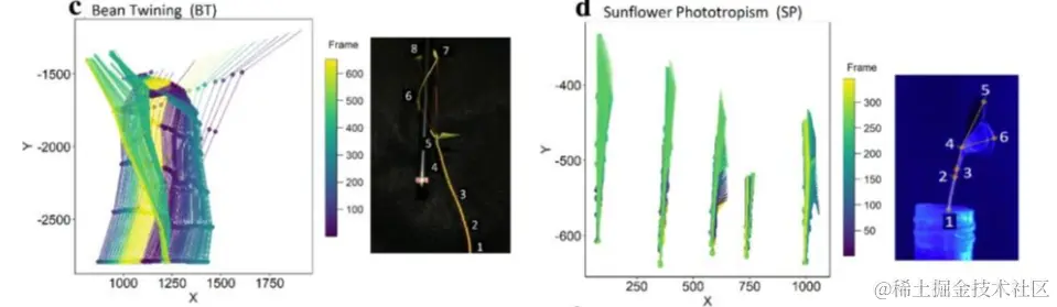 image-20231121231838236