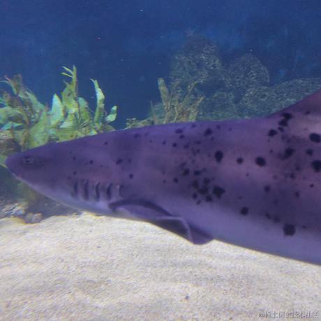 酿酒的王同学于2022-11-21 20:35发布的图片