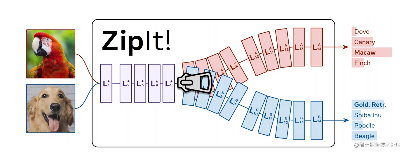 图1：ZipIt！通过识别它们共享的特征，合并在完全独立的任务上训练过的模型，而不需要任何额外的训练