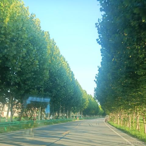 铁血贝极星于2022-11-29 00:09发布的图片