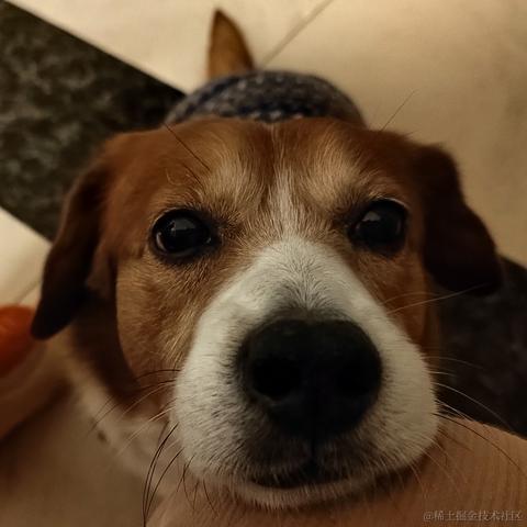 锅里没有水母于2022-12-21 17:08发布的图片