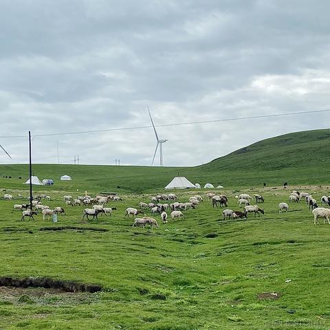 不准认出我于2020-08-10 12:21发布的图片