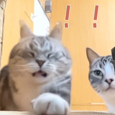 乃宝带我走于2022-11-22 00:56发布的图片