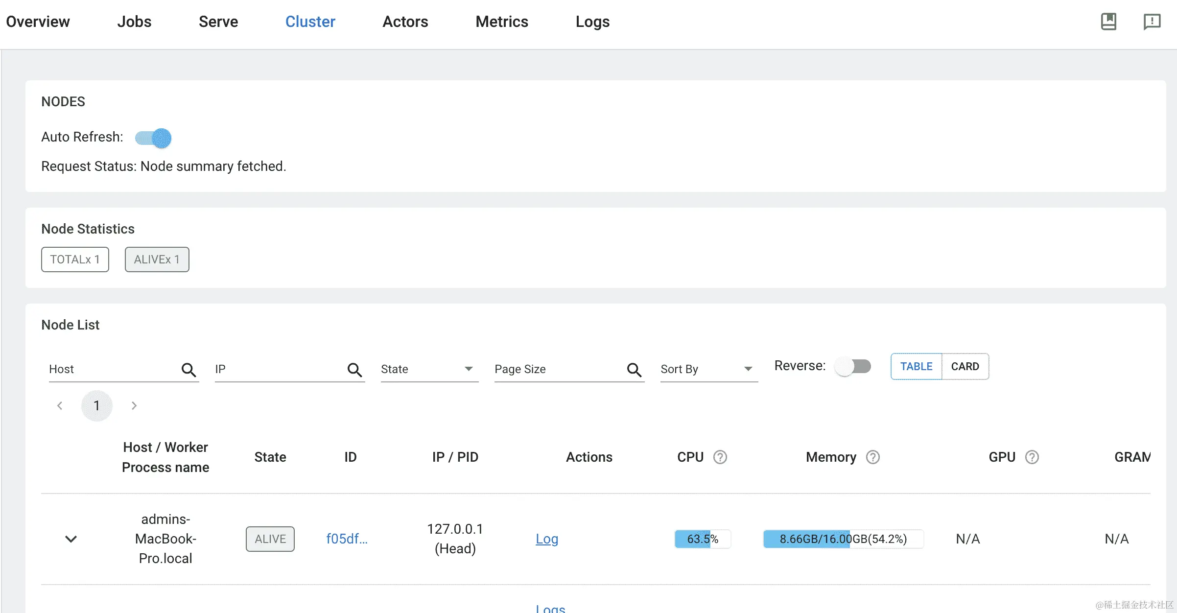 图 9.4：Ray 仪表板。