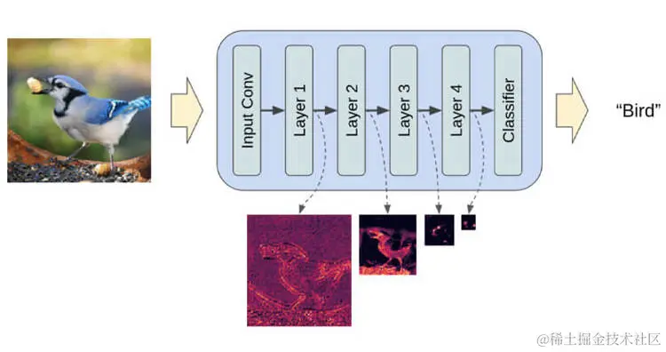 使用卷积神经网络解救最重要的属性