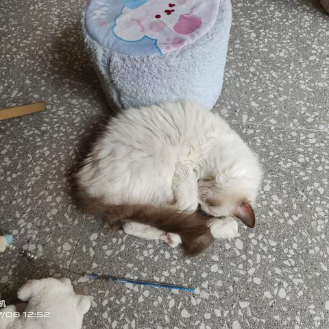 心愛今天吃什么于2023-07-08 13:12发布的图片