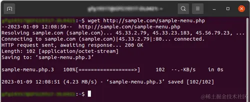 output of wget command in linux