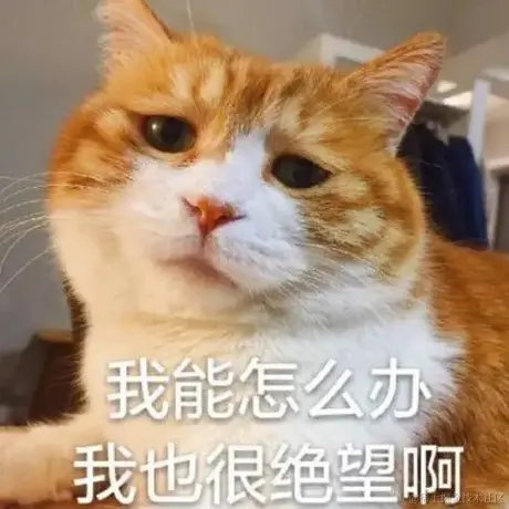 记得清缓存于2021-07-06 14:47发布的图片