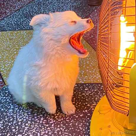 rational于2022-02-16 13:20发布的图片