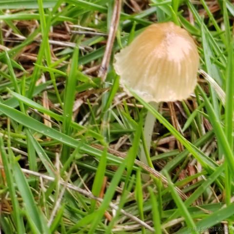 Uwiling于2022-12-02 22:23发布的图片