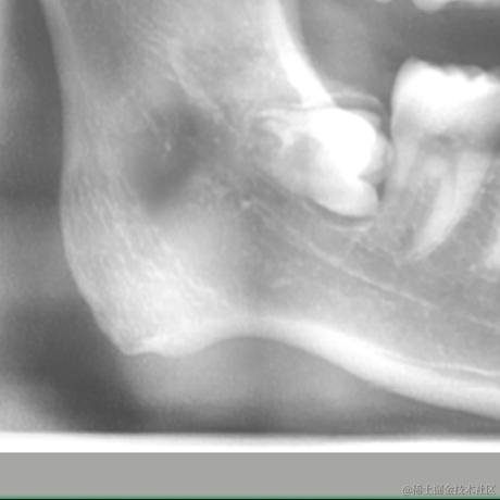 HelloWonder于2021-09-12 17:22发布的图片