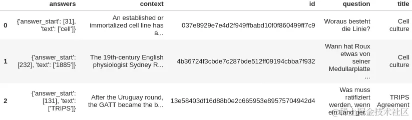 图 2.15 – 英德跨语言问答数据集