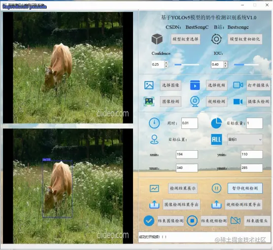 高精度奶牛检测识别系统1447.png