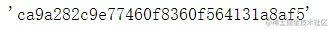 image-20220312191940938