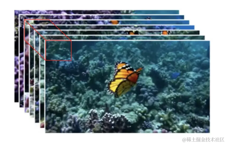 image-20240225122622801