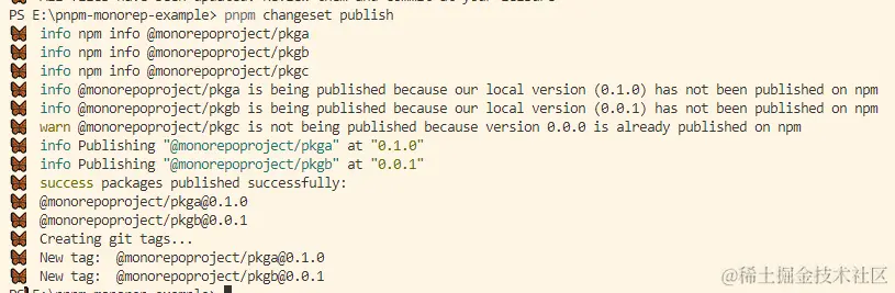 pnpm-release.png