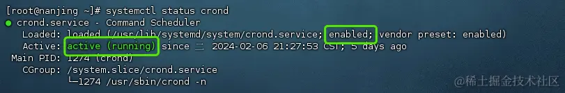 image-20240212100105977