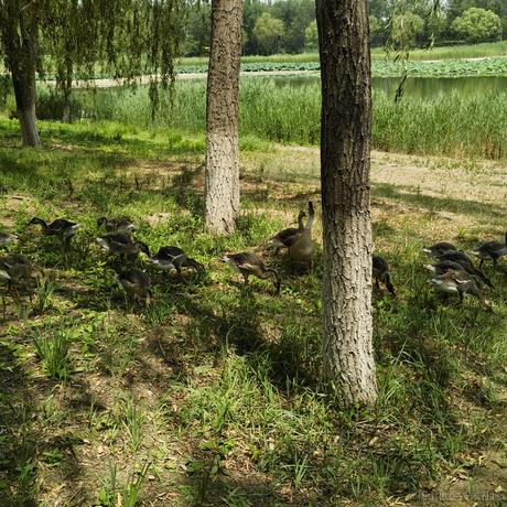 乃宝可爱捏嘎于2023-07-03 10:10发布的图片