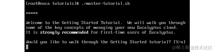 图 13.37 - 启动文本模式 Eucalyptus 主教程