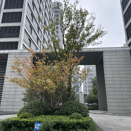 搬砖喵于2022-11-11 08:58发布的图片