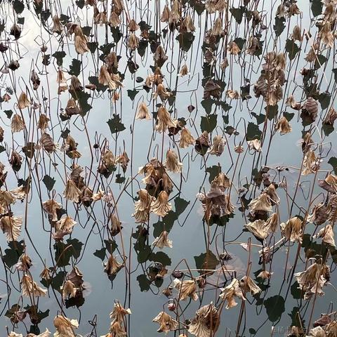 快乐摸鱼一天又一天于2022-11-27 15:32发布的图片