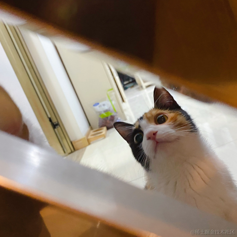 宇宙之一粟于2021-12-23 22:37发布的图片