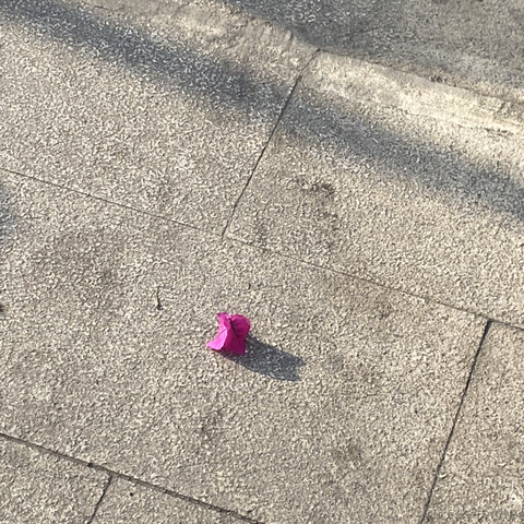 铁血嘉心糖ww于2022-11-22 00:53发布的图片