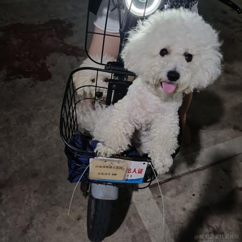 宣春不饿于2022-11-12 00:14发布的图片