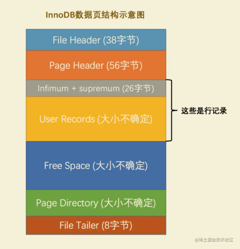 image-20220213170828841