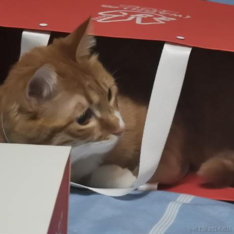 鲨脆脆脆于2023-06-05 22:01发布的图片