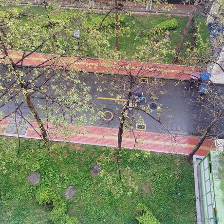 Dreamsidemroon于2022-11-22 10:17发布的图片