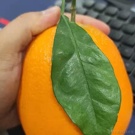 摸得一手好鱼呦于2021-12-14 11:25发布的图片