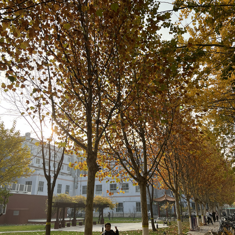 AvavaEva于2022-11-19 09:51发布的图片